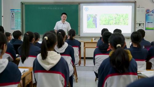 《利用树叶特征对树木分类》新课标初中数学优质公开课冀教版九上