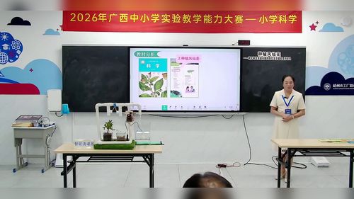 《种植凤仙花》教科版四下2026广西小学科学实验说课视频