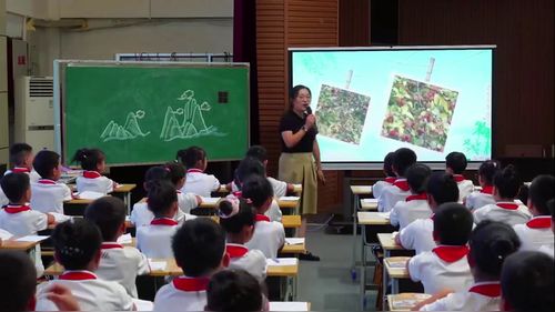 《鹿柴》部编版三上语文2025滨州市新教材新课堂 专题培训活动研讨课视频