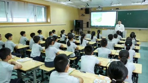 《鹿柴》部编版三上语文2025AI赋能公开课课堂实录视频
