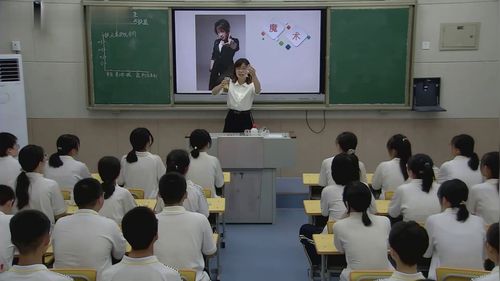 《铁的多样性》人教版高中化学优质课视频