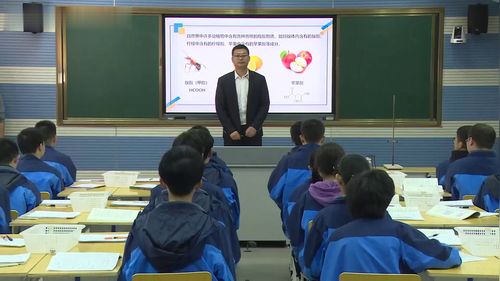 《羧酸酯化反应的条件探究—以乙酸为例》人教版高中化学