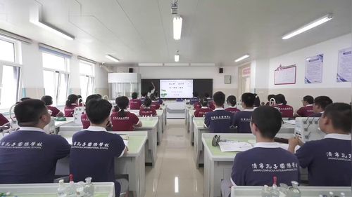 《羧酸》人教版高中化学公开课视频