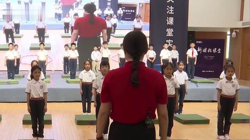 《发展前滚翻能力的练习与游戏》小学二年级水平一2024体育与健康大单元跨学科项目化学习视频