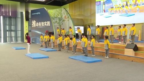 《水平三：叠罗汉》小学五年级体育与健康新课标示范课视频