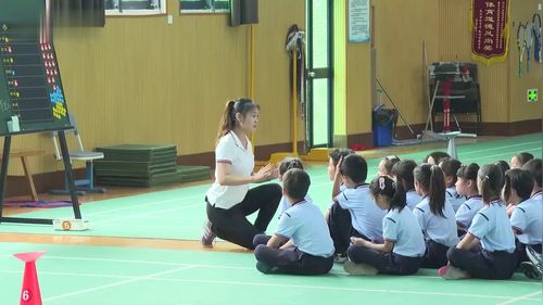 《水平一：环保小卫士《跑的练习方法-3：折返跑》小学二年级体育与健康课堂实录视频
