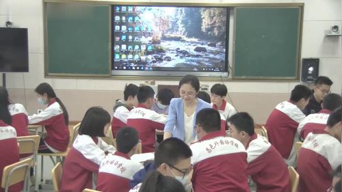 《盐 化肥》复习新课标人教版初中化学九年级公开课