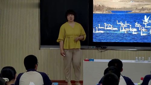 《水的电离与溶液的pH》高中化学新教材优质公开课人教版