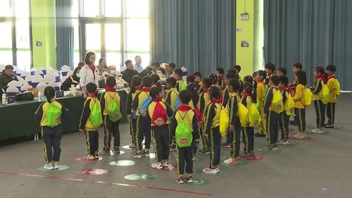 《水平一：跳跃与游戏：小马过河》小学二年级体育与健康新课标展示课视频