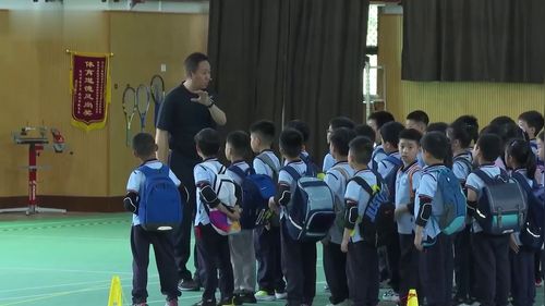 《水平一：小小特种兵《匍匐爬行》小学二年级体育与健康跨学科主题学习展示课视频