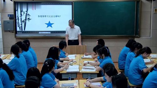 《文言文特殊现象背后的规律探究》部编版高中语文公开课选必中