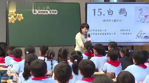 《白鹅》部编版四下语文2026跨学科主题学习研讨课视频