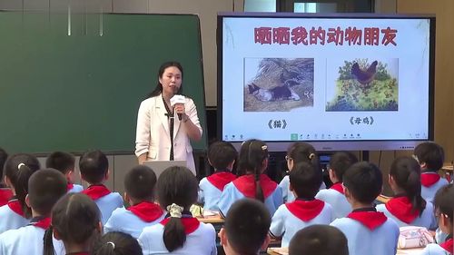 《白鹅》部编版四下语文2026跨学科主题学习展示课视频