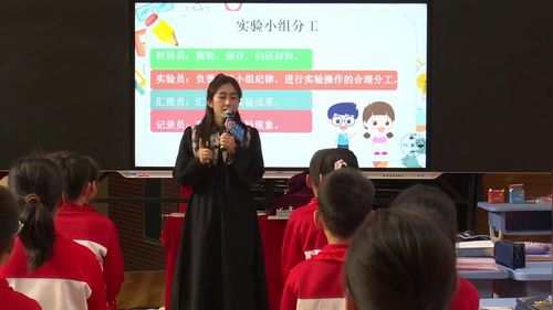 《点亮小灯泡》教科版四年级2025第29届小学科学教学观摩研讨课视频