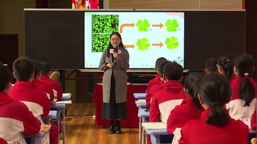 《像孟德尔一样研究遗传与变异》教科版六年级2025第29届小学科学教学观摩研讨课视频-执-樊老师