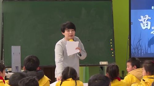《苗族鸟纹新语》小学二年级美术新课标展示课视频