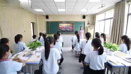 《梦回繁华》新课标部编版语文八上公开课视频