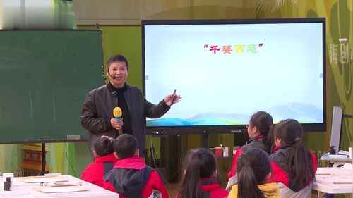 《千姿百态（中国画）》小学四年级美术新课标展示课视频