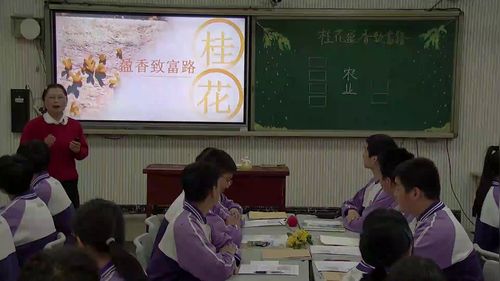 《中国的农业》跨学科融合新课标初中地理新教材优质公开课湘教版八上