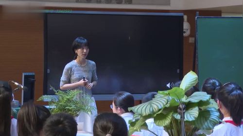 《艺想天开的植物》小学五年级美术展示课视频