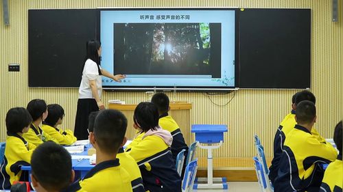 《声音的特性》初中物理课堂实录教学视频人教版八上