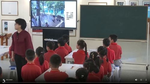 《让我们在一起》小学二年级美术展示课视频