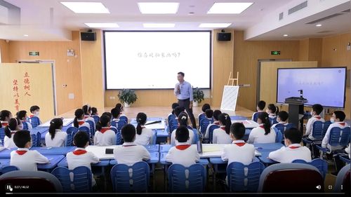 《认识抽象化》小学四年级美术展示课视频