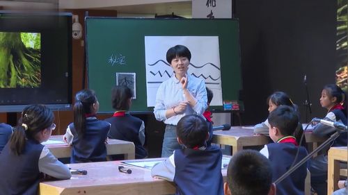 《生长的线条》《生长的秘密力量》小学四年级美术示范课视频