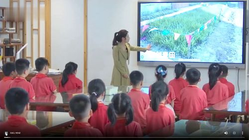 《我们有块麦田》小学二年级美术示范课视频