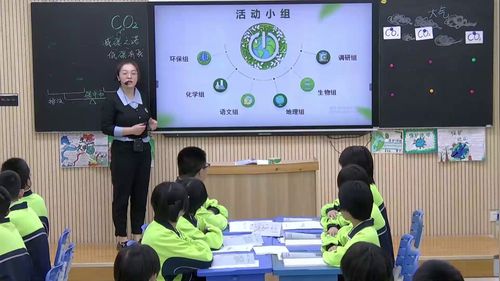《减“碳”之诺，低“碳”有我》初中化学公开课教学视频人教版九年级