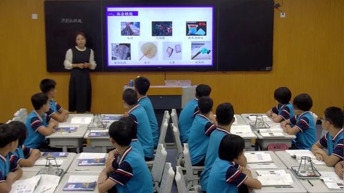《燃料的燃烧》初中化学公开课教学视频人教版九年级