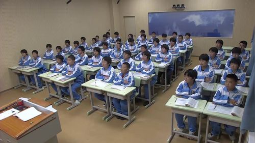 《如何突出中心》初中语文公开课教学视频部编版