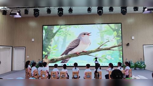《布谷鸟》大班音乐欣赏活动2026教学视频