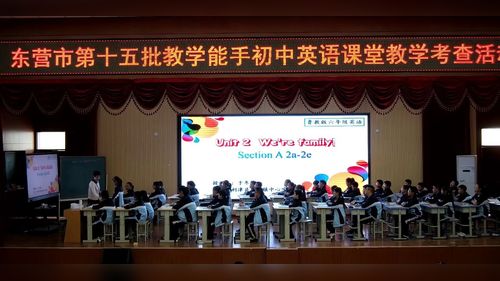 《Unit 2 We’re family (2a-2e)》鲁教版六上英语公开课视频