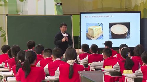 《土豆有多大》人教版六年级数学2026AI赋能数学跨单元结构化教学名师课堂实录视频