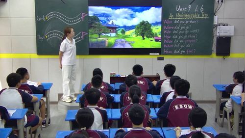 《Unit 9 Lesson 6 Oral Communication 公开课》仁爱科普版英语新教材七下公开课教学视频