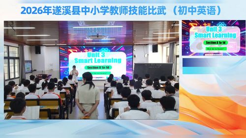 《Unit 3 Smart learning Section A 1a-1d How do we learn》人教版九上英语2026遂溪初中教师技能观摩研讨课视频
