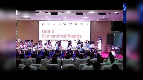 《Unit 3 Our animal friends Part B start to read》人教版三上2026山东小学英语优秀课例赛课视频