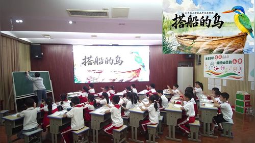 《搭船的鸟》部编版三上语文2026展示课视频