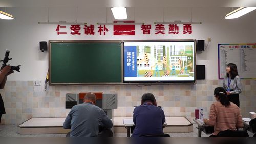 《印象克拉玛依——数据的可视化表达》教科版必修一2025第七届高中信息技术说课视频