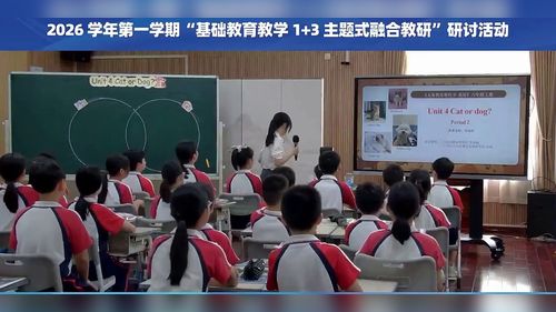 《Unit 4 Cat or dog Period 2》教科版六上英语2026广州主题式融合教研展示课视频