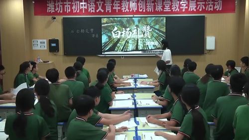 《白杨礼赞》部编版八上2026潍坊初中语文青年教师创新课堂教学展示课视频
