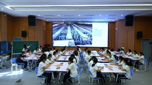 《凝神造像-中国传统雕塑》人教版高中美术2026中小学美术教学技能大赛一等奖视频