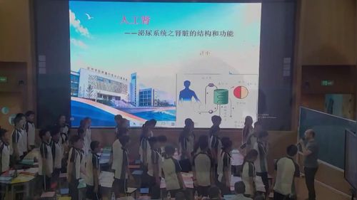 《人工肾——泌尿系统之肾脏的结构和功能》2026浙江省初中科学展示课视频