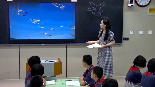 《大雁归来》新课标部编版初中语文七上优质课视频
