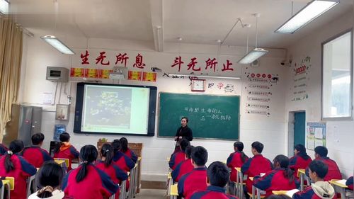 《再塑生命的人》新课标部编版初中语文七上优质课视频