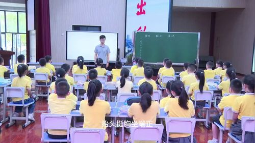 《科学家这样做》教科版小学科学展示课视频
