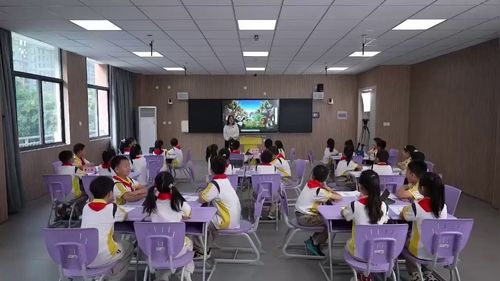 《动物分类大师》江苏版三年级2026人工智能通识课教学展示课视频