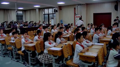 《牛和鹅》部编版四上语文2026江苏小学语文展示课视频