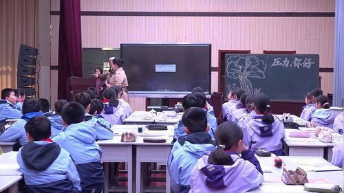 《压力-你好》2025小学心理健康教育学科展示课视频